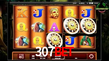 Descubra o Mundo do Cassino Online com 307bet